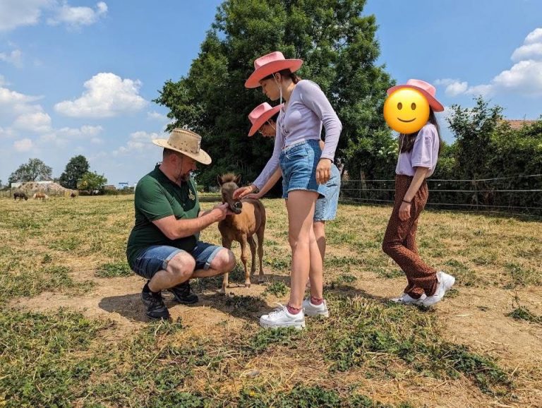 Imagem WhatsApp 2024-11-25 às 11.24.44_da640ff7