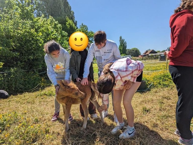 Imagem WhatsApp 2024-11-25 às 11.24.45_75186ac0