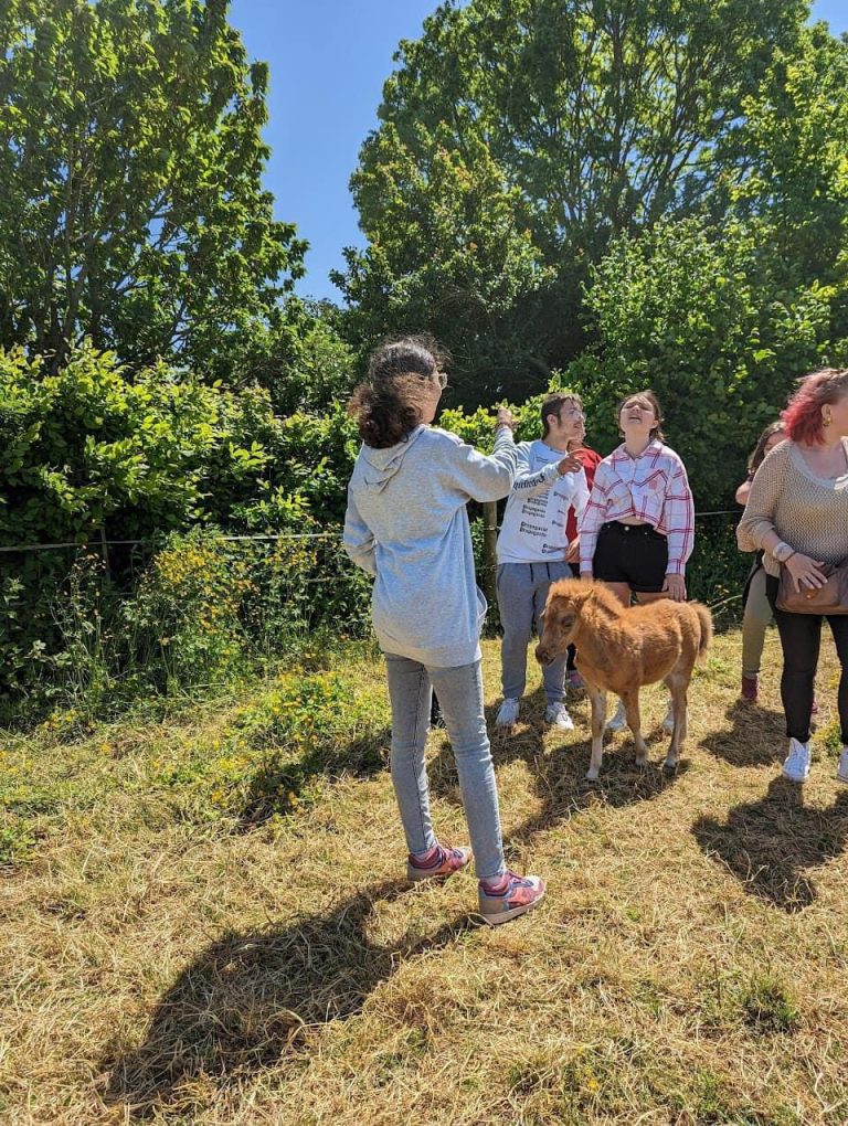 Imagem WhatsApp 2024-11-25 às 11.24.46_cb501f16