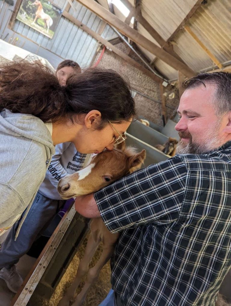 Imagem WhatsApp 2024-11-25 às 11.24.47_1ec9c20c