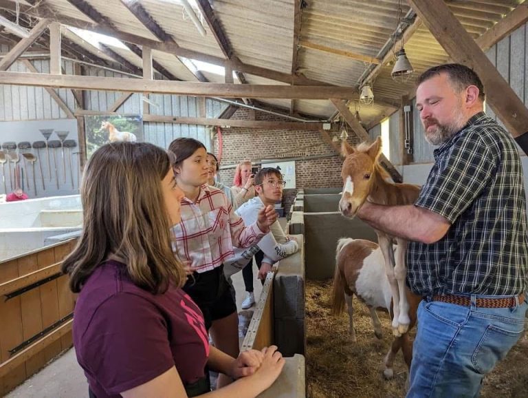 Imagem WhatsApp 2024-11-25 às 11.24.47_3a5103be