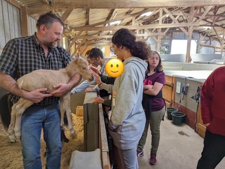 Imagem WhatsApp 2024-11-25 às 11.24.48_ff944a24