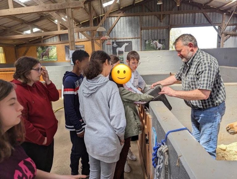 Imagem WhatsApp 2024-11-25 às 11.24.49_46f7dfe2