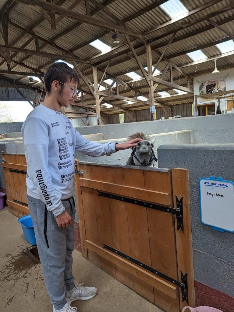 Imagem WhatsApp 2024-11-25 às 11.24.49_b65dc36f