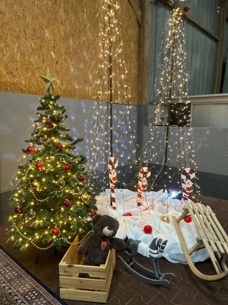 noel02
